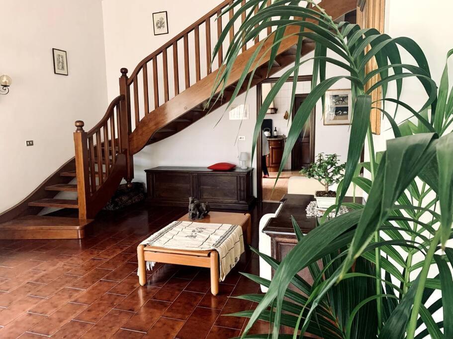 Ferienwohnung Raffinatezza Rustica Nella Campagna Veneziana Canton  Exterior foto