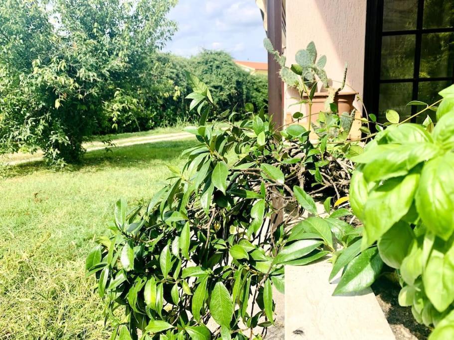 Ferienwohnung Raffinatezza Rustica Nella Campagna Veneziana Canton  Exterior foto